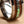 8mm Abalone Shell and Wood Inlay Tungsten Wood Band