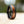 Wooden Wedding Rings Mens Tungsten Rings with Wood Inlay and Hammered Texture | Urban Designer